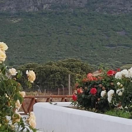 Finca La Rinconada Calamonte Eksteriør billede