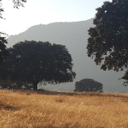 Finca La Rinconada Calamonte Eksteriør billede