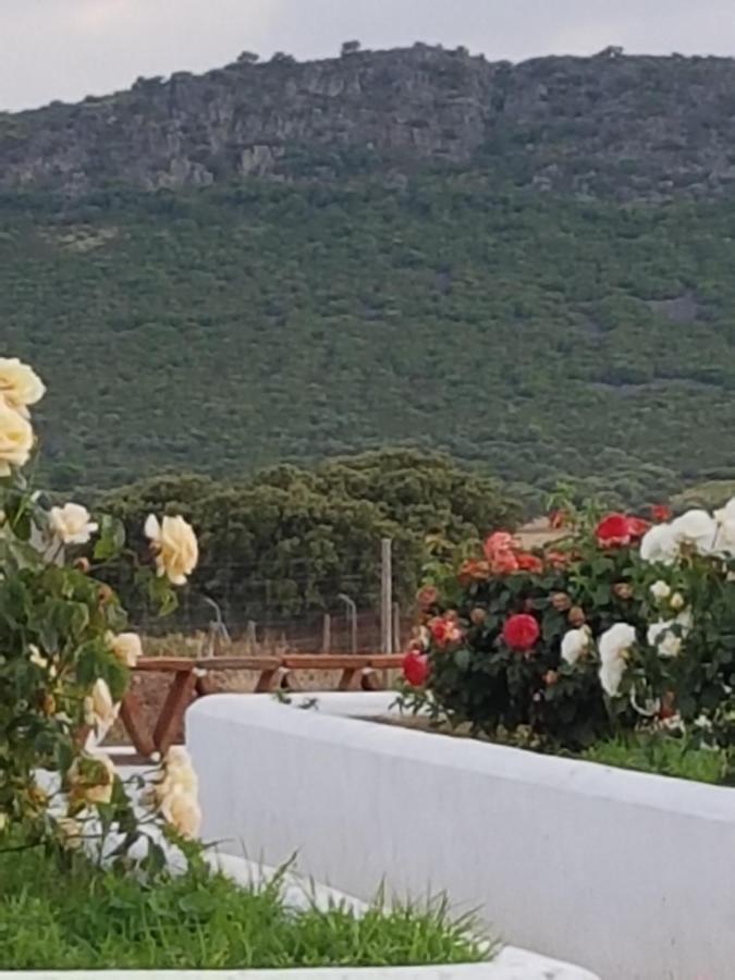 Finca La Rinconada Calamonte Eksteriør billede
